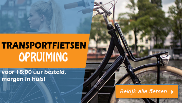 Fonkeling Agnes Gray Bakken Omafiets kopen? Gratis levering in 24 uur | Omafiets-Online.nl